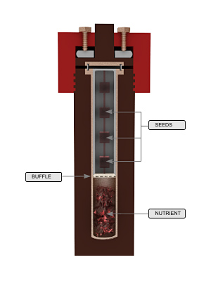 Hydrothermal technique